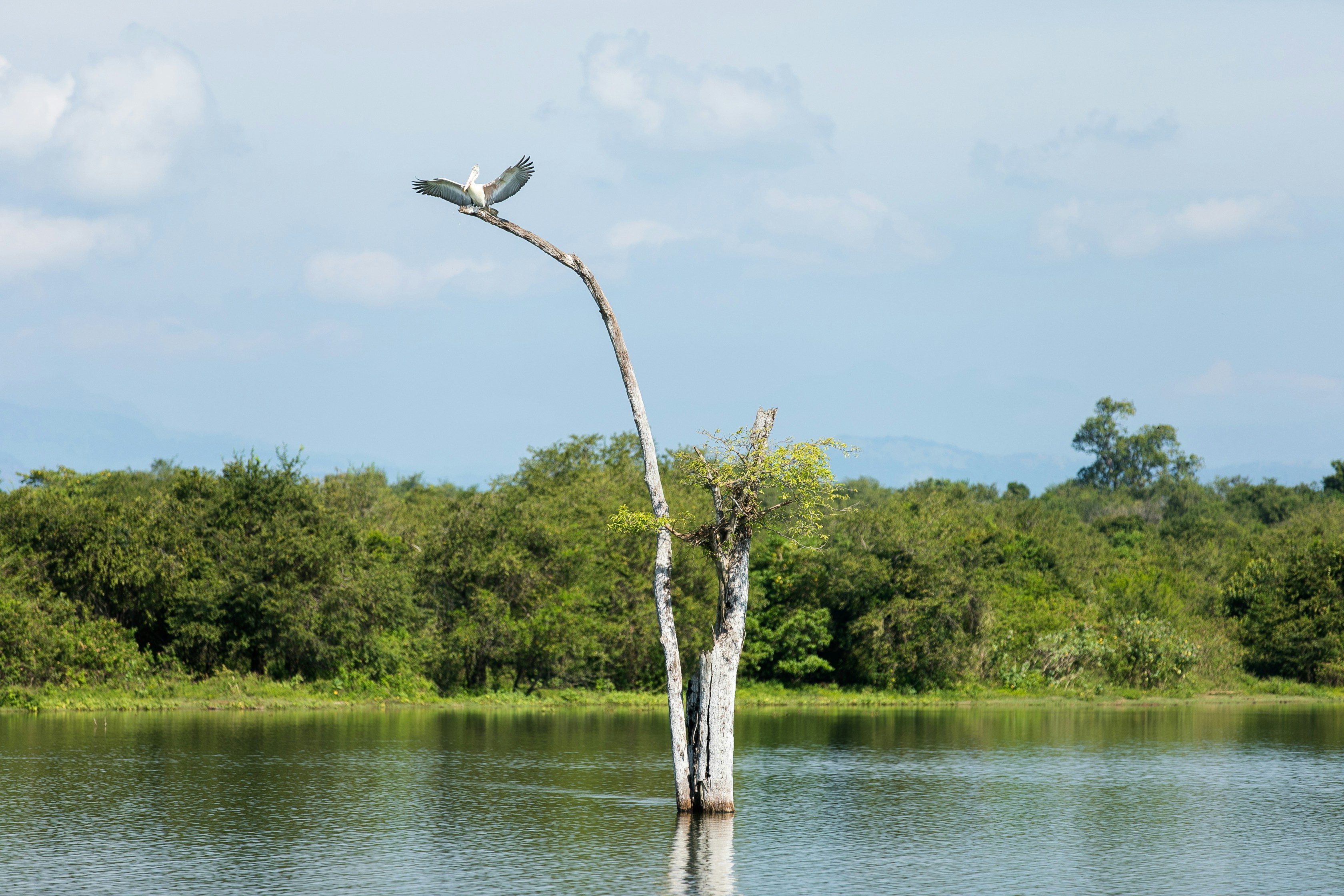 Sri Lanka Gallery Image