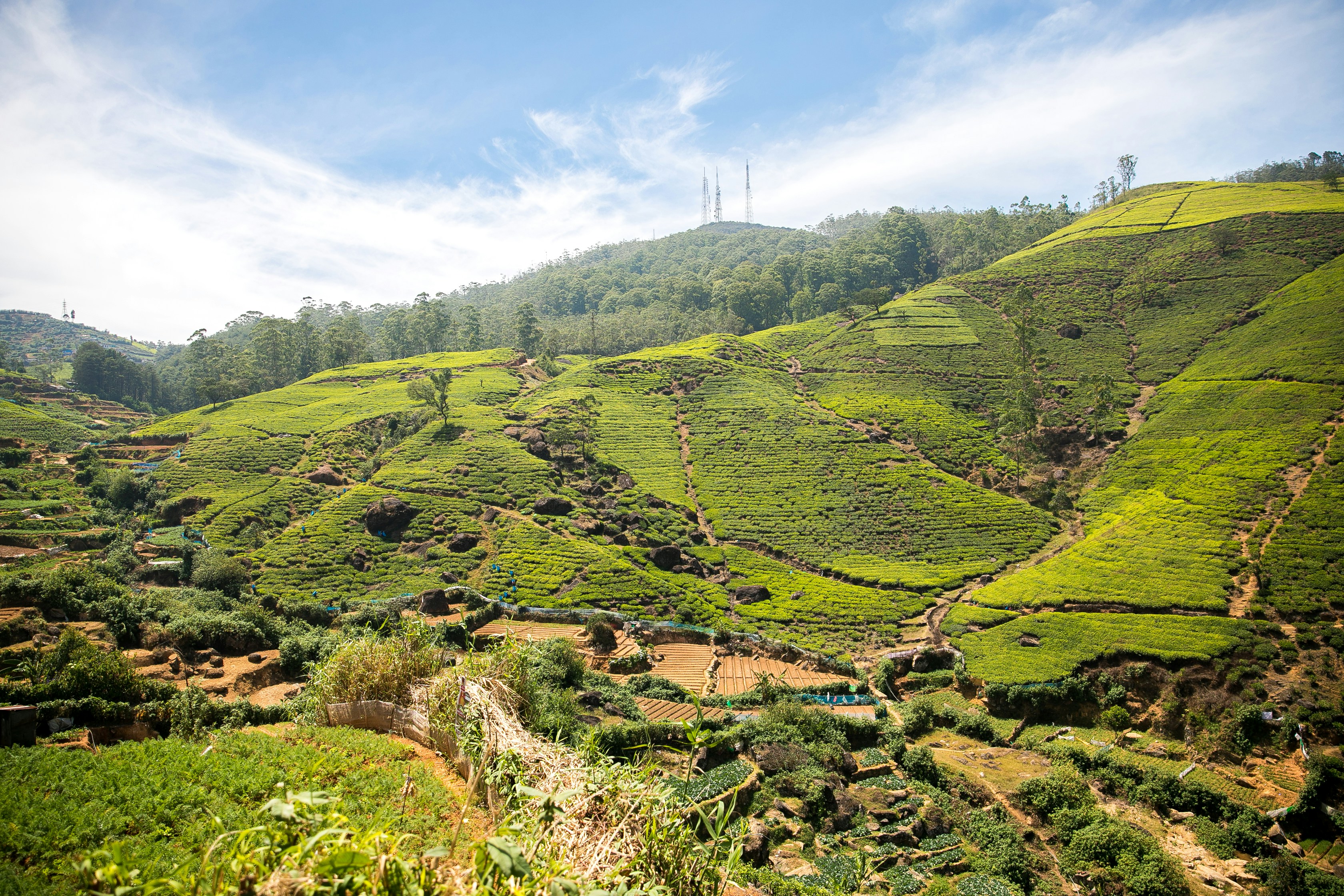 Nuwara Eliya, Sri Lanka