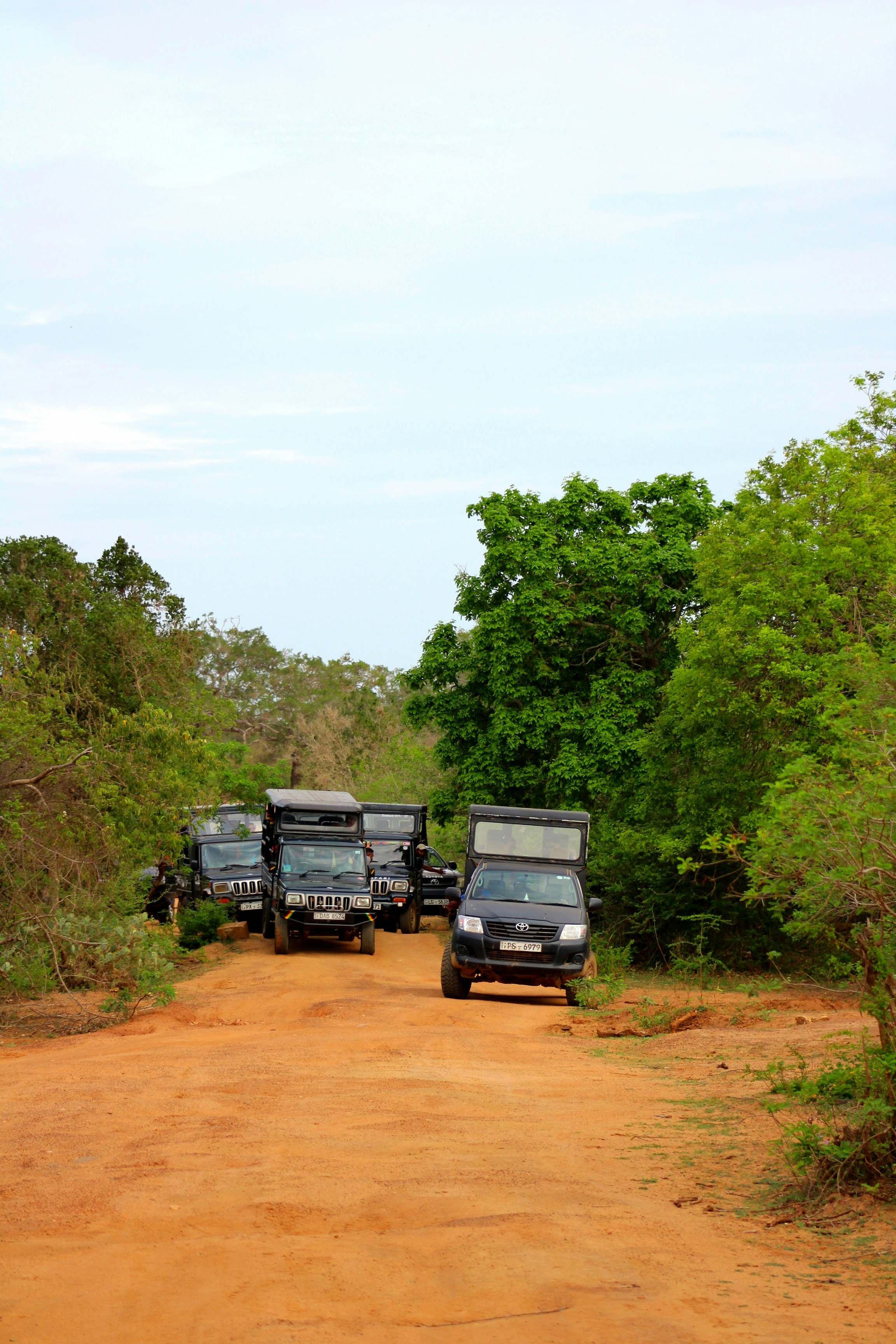 Yala, Sri Lanka
